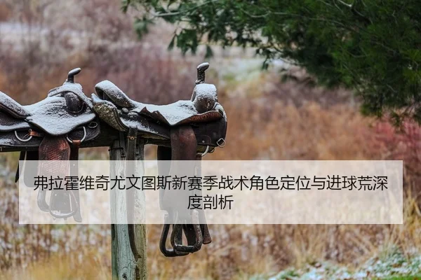 弗拉霍维奇尤文图斯新赛季战术角色定位与进球荒深度剖析