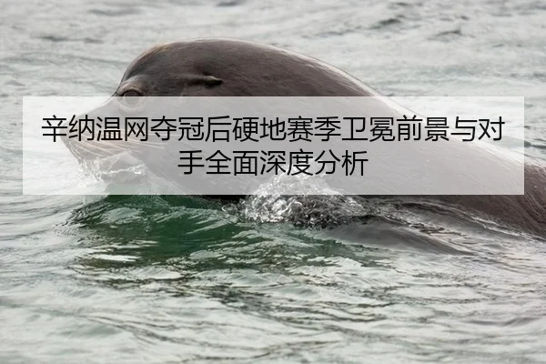 辛纳温网夺冠后硬地赛季卫冕前景与对手全面深度分析